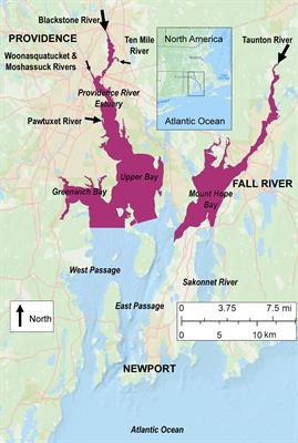 Managed Nitrogen Load Decrease Reduces Chlorophyll and Hypoxia in Warming Temperate Urban Estuary